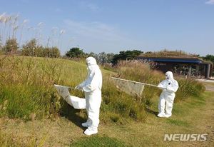 서울시, 한강공원·산책로 등 감염병 매개 진드기 조사