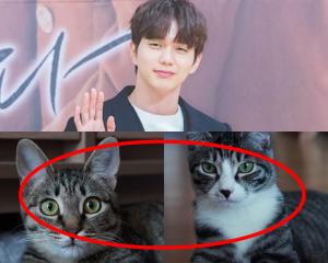 “많은 분들이 걱정하셔서”…유승호, 유튜버 논란에 입양한 고양이 ‘고미와 도리’ 근황 공개