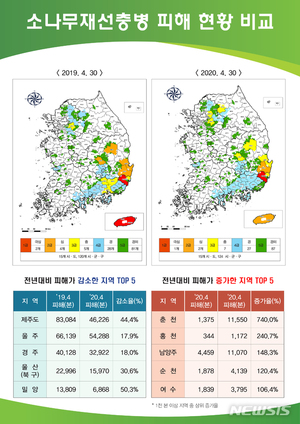 곡성 ‘소나무재선충병’ 발생…확산 차단 &apos;비상&apos;