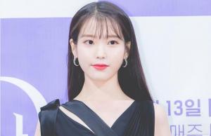 &apos;오늘 생일&apos; 아이유, 팬들의 센스 가득 축하 물결 "지은아 스물에잇번째 생일축하해" 