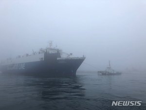 짙은 해무 때문에…제주항 27명 탄 6500t급 화물선 좌초