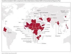유엔 식량농업기구(FAO) "코로나19로 북한 등 전 세계 1억8천명 식량위기"