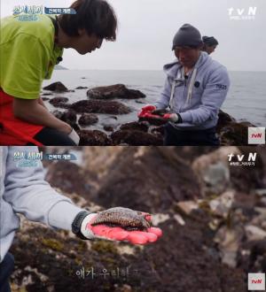 이광수, 유해진과 함께 직접 채집한 &apos;군소&apos;는 무엇?…손질 방법-맛까지 &apos;화제&apos;