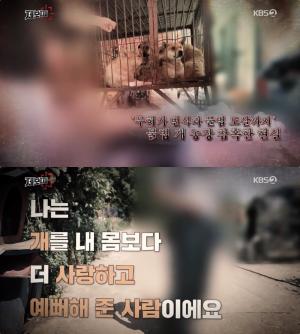 KBS ‘제보자들’ 불법 개농장 충격 실태! 무허가 번식에 전기 도살까지? 배 가른 암컷에 강아지 사체 땅바닥에…