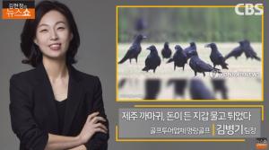 제주 까마귀, 골프카트 습격해 현금 든 지갑 강탈? ‘김현정의 뉴스쇼’ [종합]