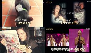 ‘서프라이즈’  김하영의 서프라이즈 PICK, 쪽지를 목에 건 고양이-모든 것을 거꾸로 보는 여자-페루의 최고 미인대회에서 머리를 밀고 나온 이유는? (3)