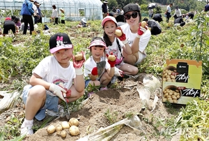 괴산 감물감자축제 코로나19로 취소…농특산물 소비촉진운동으로 대체