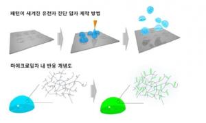 한국과학기술연구원(KIST), 한 번에 바이러스 유전자 수십종 검출하는 미세입자 개발