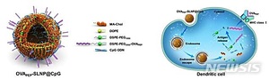 KAIST, 항암 백신·면역치료 최적화한 신기술 개발