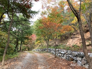 대전 76확진자 접촉 옥천 식당 업주 등 30여명 &apos;음성&apos;(종합)