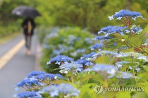 [오늘날씨] 전국 흐리고 많은 비…장마 시작