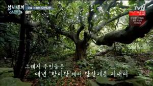 &apos;삼시세끼 어촌편5&apos; 죽굴도를 지켜주는 &apos;당신 나무&apos;...차승원 "잘 있다 갑니다" 기도 (2)