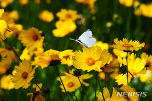 충북 낮 27~30도…미세먼지 &apos;보통&apos;