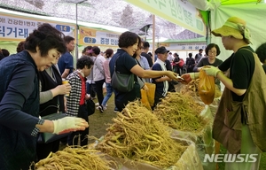 증평인삼골축제 "내년에 봐요"…코로나19 사태로 첫 취소