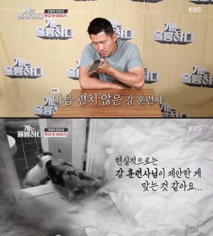 ‘개는 훌륭하다’ 코비 담비 견주, 딸 출가 계획에도 “코비도 놔달라” VS “일반인 악플 그만” 