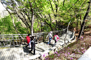 노원구, 영축산 순환산책로 온라인 걷기 행사