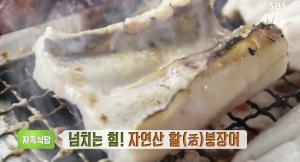 ‘생방송 투데이-자족식당’ 자연산 활 붕장어! 붕장어구이+붕장어회 맛집
