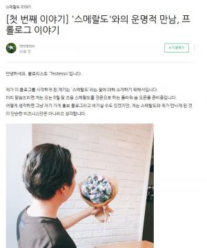 "8월 말 혹시?"…방탄소년단(BTS) 팬들 궁예케하는 &apos;스메랄도&apos; 블로그 업데이트