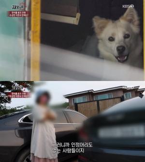KBS ‘제보자들’ 파주 전원주택 마을서 유기견 키우는 ‘철옹성’ 분양·판매 정황 포착! 