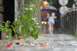 서울 낮 최고 30도 더위, 오후 곳곳 소나기…전국 지역별 현재 날씨