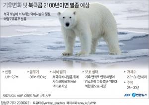기후변화 비극…"이대로면 북극곰 2100년까지 멸종"
