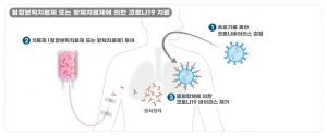 "국내 코로나19 치료제·백신 임상 13건"…셀트리온, 항체치료제 임상계획 승인