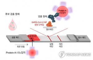 한국화학연구원, 코로나19 육안으로 진단 가능한 항원 신속진단기술 개발