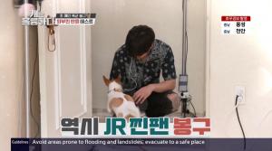 ‘개는 훌륭하다’ JR(김종현), 사나운 문제견 봉구를 사로잡은 마성의 남자 [★픽]