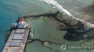 &apos;모리셔스 해안 좌초&apos; 일본 화물선에서 기름 거의 다 제거