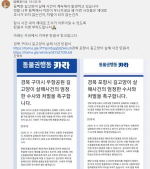 "억장이 무너진다" 22똥괭이네, 경북 구미·포항서 일어난 &apos;길고양이 살해사건&apos; 분노