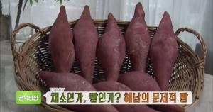 ‘생방송 투데이-골목빵집’ 해남 명물!…고구마빵 맛집, 위치는?