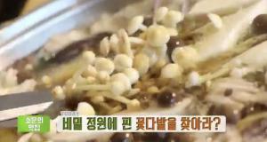 ‘생방송 투데이-소문의맛집’ 13종 버섯 샤부샤부 맛집, 위치는?