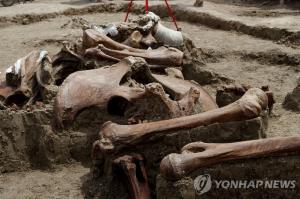 멕시코 세계 최대 &apos;매머드 무덤&apos; 발견…매머드 멸종 이유 밝혀질까?