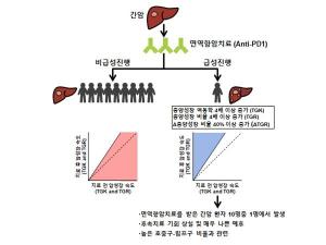 면역 항암제 치료받은 간암 환자 10명 중 1명 급성 진행 나타나…혈액검사 예측 가능