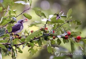 [오늘 날씨] 전국 구름 많고 선선…밤부터 강원 영동에 많은 비