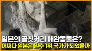 일본의 골칫거리 애완동물은? 어쩌다 일본은 밀수 1위 국가가 되었을까