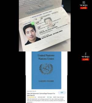 김용호, "이근 대위 UN 여권 페이크 아이디…150불만 주면 살 수 있다"