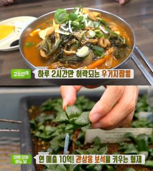 ‘생방송투데이-고수뎐’ 상주 우거지짬뽕 맛집, 하루 2시간만!…‘대박신화’ 고양 ‘관상용 보석’ 하월시아 농장 위치는?