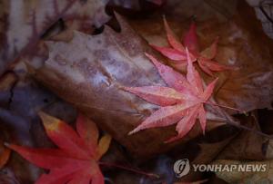 [오늘의 날씨] 서울 서남권·인천 등 호우주의보