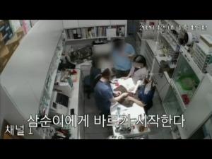 "탈취제 뿌리고 폭소→마취 깼는데 미용 지속"…페브리즈 학대 광주 동물병원 CCTV 영상 공개됐다