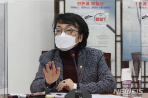 열린민주당 김진애, 내일 서울시장 출마…"진짜 개발 추진"