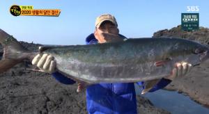 ‘생활의달인-연말특집’ 제주도 갯바위 낚시 달인, 1m50cm 거대 부시리 잡았다!