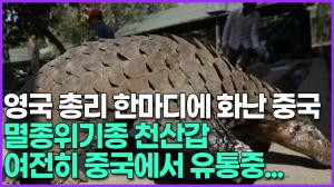 영국 총리 한마디에 화난 중국, 멸종위기종 천산갑 여전히 중국에서 유통중...