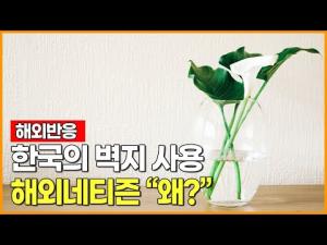 [영상][해외반응] 한국의 벽지 사용 해외네티즌 "왜?"
