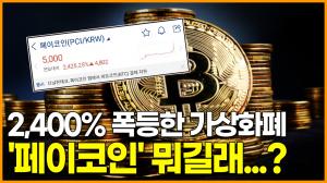 [영상] 2,400% 폭등한 가상화폐 &apos;페이코인&apos; 뭐길래...?