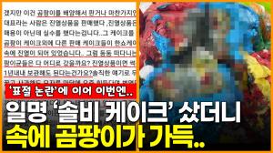 [영상] ‘표절 논란’에 이어 이번엔… ‘솔비 케이크’ 샀더니 속에 곰팡이가 가득