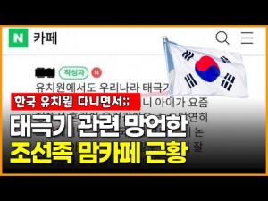 [영상] 태극기 관련 망언한 조선족 맘카페 근황