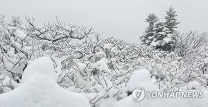 [주말 날씨] 일요일 아침까지 전국 가끔 비…설악산 눈 15㎝ 쌓여