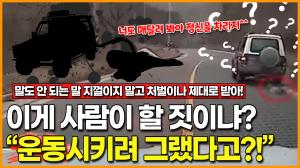 [영상] 개 매달고 시속 80km 주행… 이게 사람이 할 짓이냐? “운동시키려고!” 뻔뻔 변명