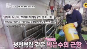 &apos;전원일기 일용이&apos; 박은수, 돼지농장서 일하는 근황 공개…"나도 잘 살고 싶다"